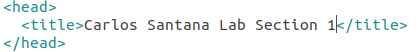 Add your name and lab section number between title tags.