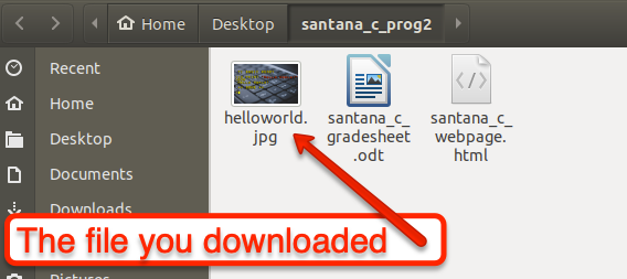 File just downloaded in folder.